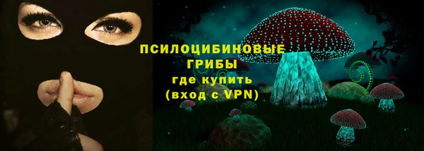 сатива Алзамай