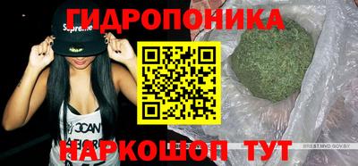 тгк Будённовск