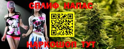 тгк Будённовск