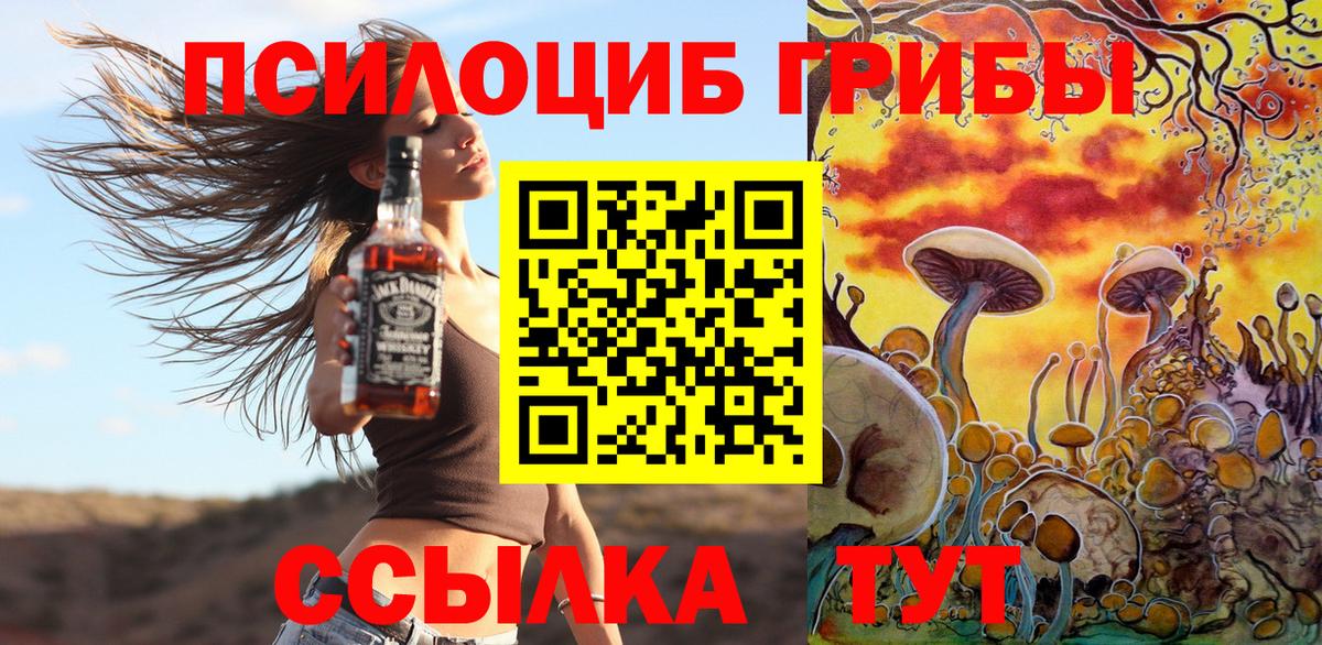 Псилоцибиновые грибы Psilocybe  Вход с VPN  Белебей 